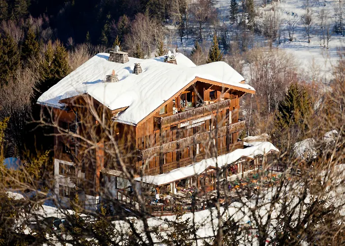 Hotel Les Flocons 3*