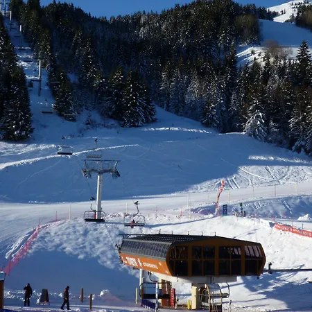 Otel Les Flocons 3*