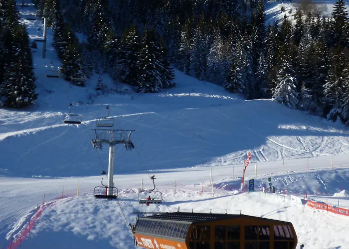 Hotel Les Flocons 3*
